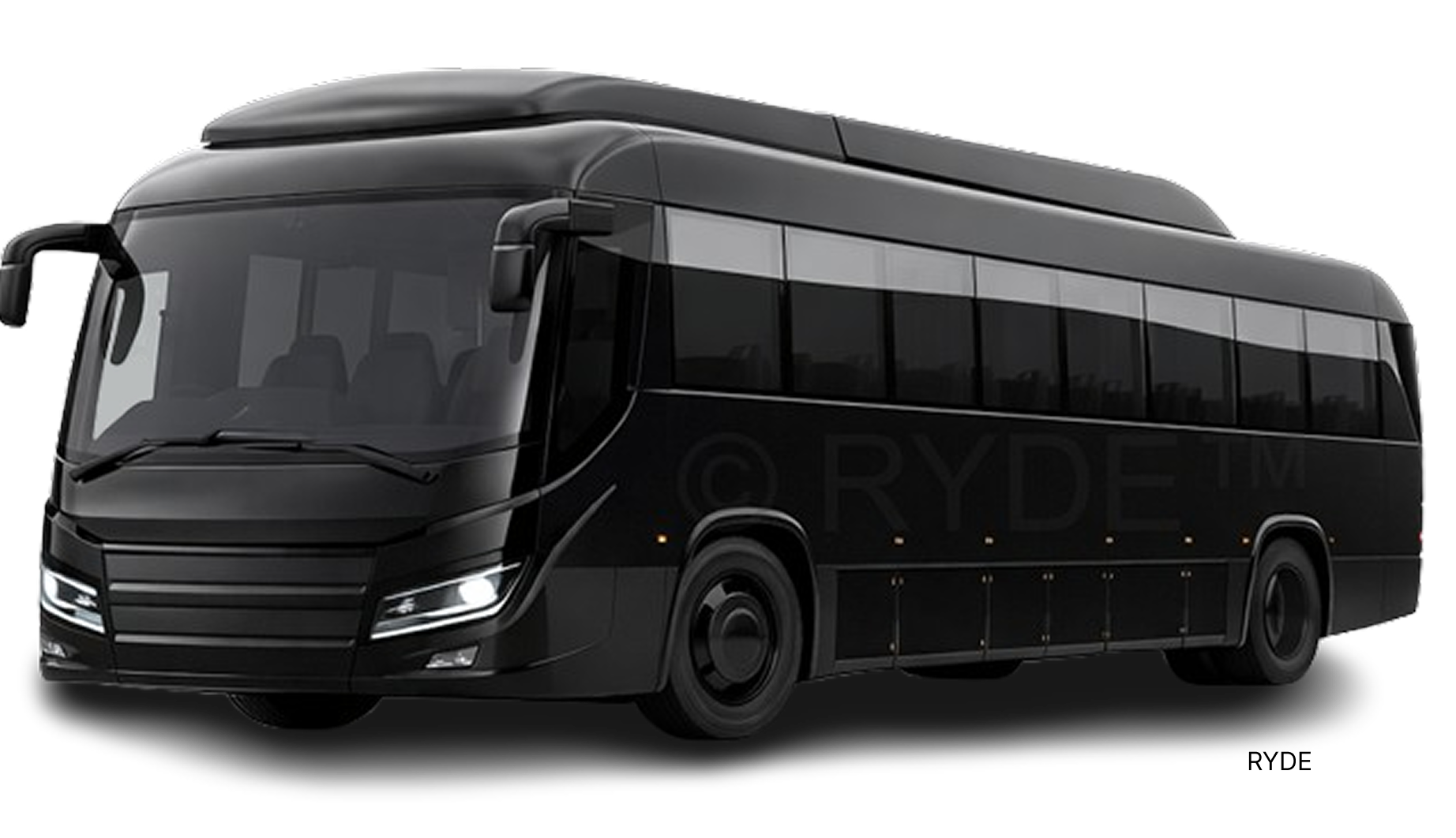 Executive Coach