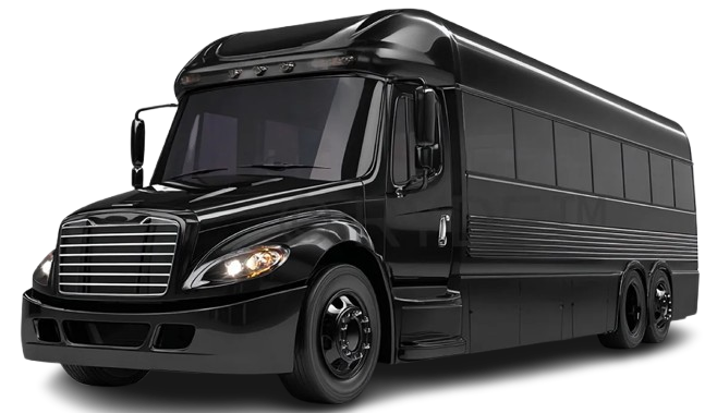 Executive Minibus