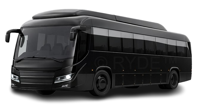 Executive Coach
